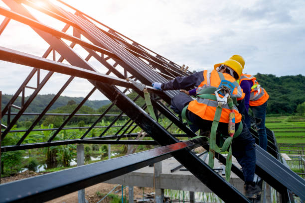 Best Roof Gutter Cleaning  in Freeport, TX