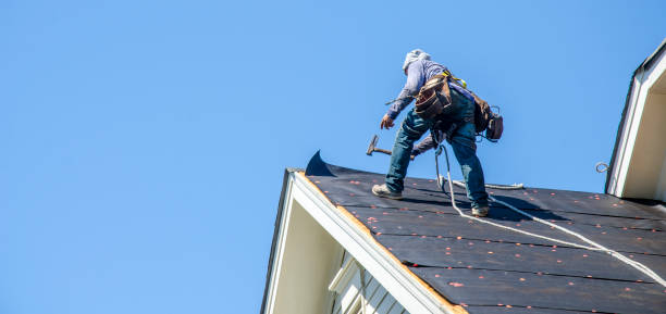 Best Storm Damage Roof Repair  in Freeport, TX